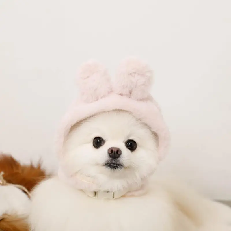 モンシェリ 意味 - Professional Guide and Review