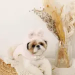 うさぎ耳付きフードファーハーネス