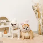 うさぎ耳付きフードファーハーネス