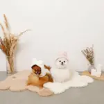 うさぎ耳付きフードファーハーネス