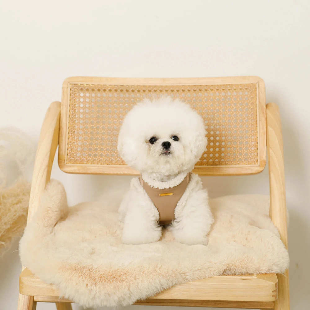 wear dog - japan dog fashion market 2025 chart