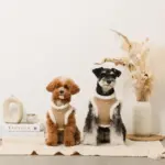 エコレザーボアMIXハーネス+リードSET【名入れ刺繍対応】