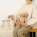 エコレザーボアMIXハーネス+リードSET【名入れ刺繍対応】