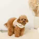 ムートン風ハーネス+リードSET【名入れ刺繍対応】