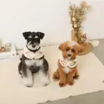 ムートン風ハーネス+リードSET【名入れ刺繍対応】