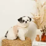 ムートン風ハーネス+リードSET【名入れ刺繍対応】