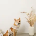 ボアウールハーネス