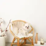 ボアウールハーネス