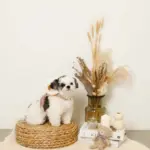 ファーフード付チェックハーネス+リードSET【名入れ刺繍対応】