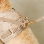 キルティングボアハーネス+リードSET【名入れ刺繍対応】