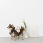 ニュアンスカラーリュックハーネス【名入れ刺繍対応】