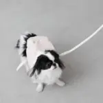 ニュアンスカラーリュックハーネス【名入れ刺繍対応】