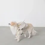 ニュアンスカラーリュックハーネス【名入れ刺繍対応】