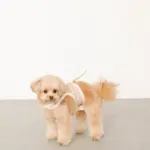 チェック×ファーハーネス