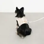 チェック×ファーハーネス