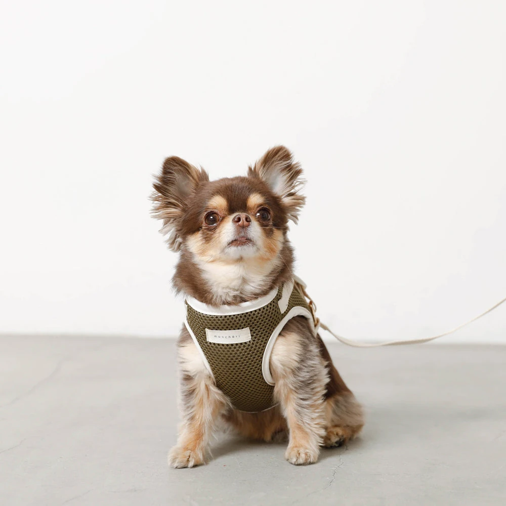 犬 用 鹿 肉 - venison dog food market analysis japan