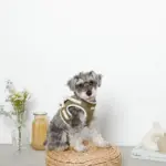 冷感メッシュハーネス+リードSET【名入れ刺繍対応】