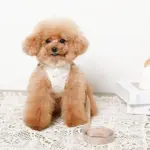 tomboniaコラボハーネス+リードSET【名入れ刺繍対応】