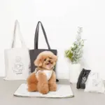 tomboniaコラボハーネス+リードSET【名入れ刺繍対応】