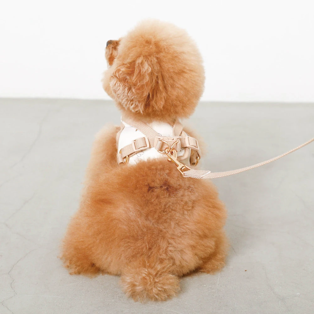 子犬 ハーネス サイズ - puppy harness size FAQ