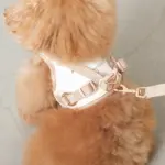 tomboniaコラボハーネス+リードSET【名入れ刺繍対応】