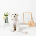 ぽこぽこハーネス+リードSET【名入れ刺繍対応】