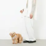 ぽこぽこハーネス+リードSET【名入れ刺繍対応】