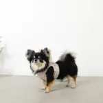 ぽこぽこハーネス+リードSET【名入れ刺繍対応】