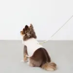 刺繍レースハーネス＋リードSET【名入れ刺繍対応】