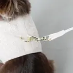 刺繍レースハーネス＋リードSET【名入れ刺繍対応】