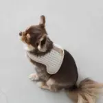 ギンガムチェックハーネス