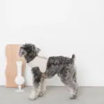 ギンガムチェックハーネス