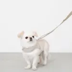 ギンガムチェックハーネス