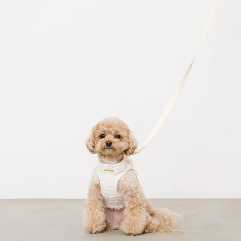 ぽこぽこチェックハーネス＋リードSET【名入れ刺繍対応】