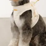 ぽこぽこチェックハーネス＋リードSET【名入れ刺繍対応】