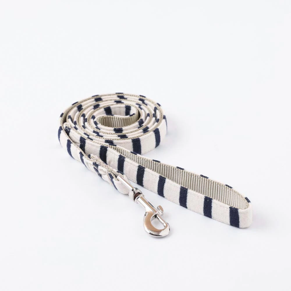 product_image_1763962200 ボーダーリード