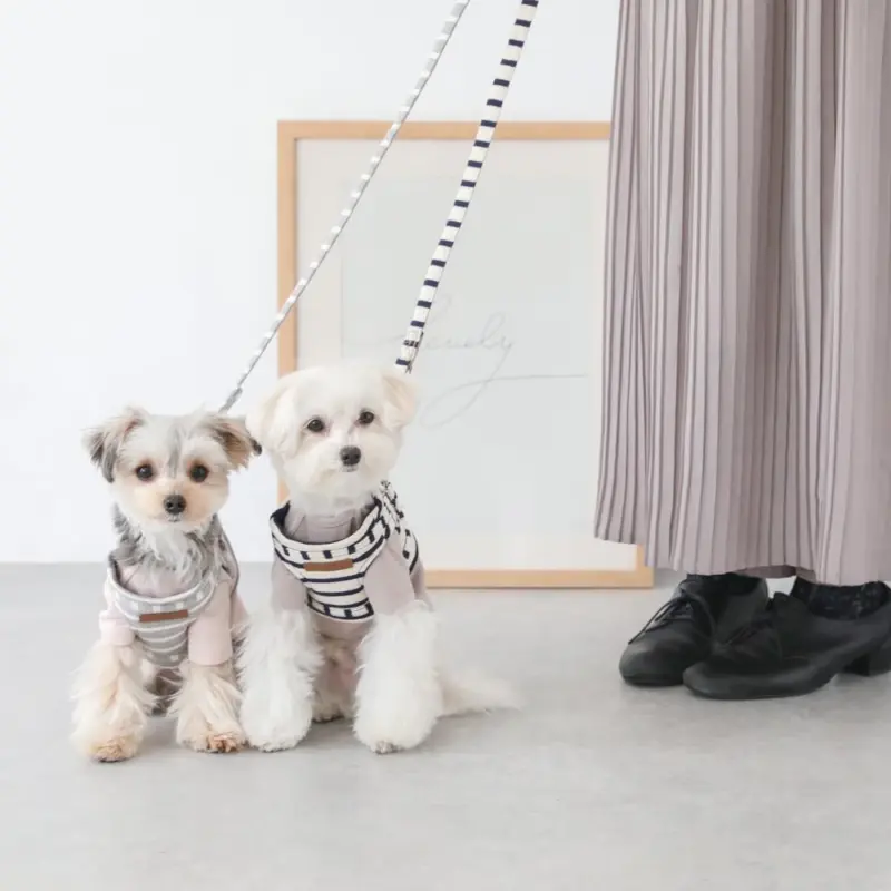 ボーダーリード