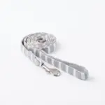 ボーダーリード