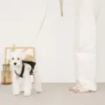 ベージュバックパックハーネス