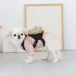 ベージュバックパックハーネス