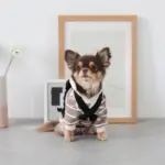 ベージュバックパックハーネス