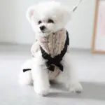 ベージュバックパックハーネス