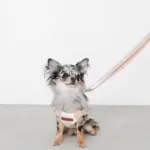 大理石調柄ハーネス