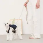 デニムバックパックハーネス