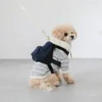 デニムバックパックハーネス