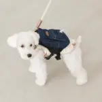 デニムバックパックハーネス