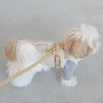 レザーハーネス　MEDIUM