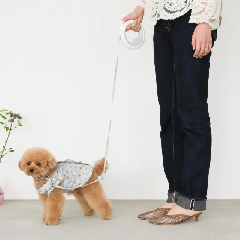 リングライトリード