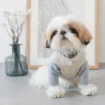 レザークラフトサークルネックレス