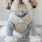 レザークラフトサークルネックレス